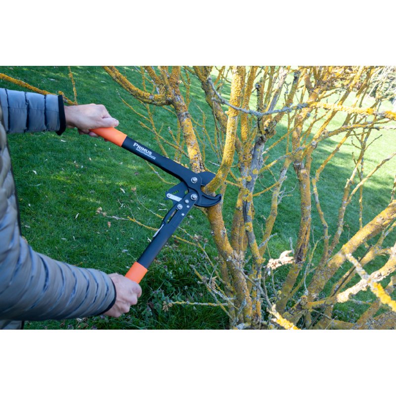 PRIMUS Dual-Cut sécateur femme, noir/orange, jusqu'à 35 mm d'épaisseur de branche